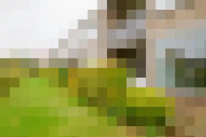 Bizetstraat 34 Almelo thumbnail 24