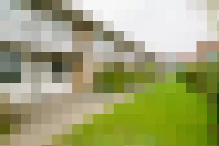 Bizetstraat 34 Almelo thumbnail 25