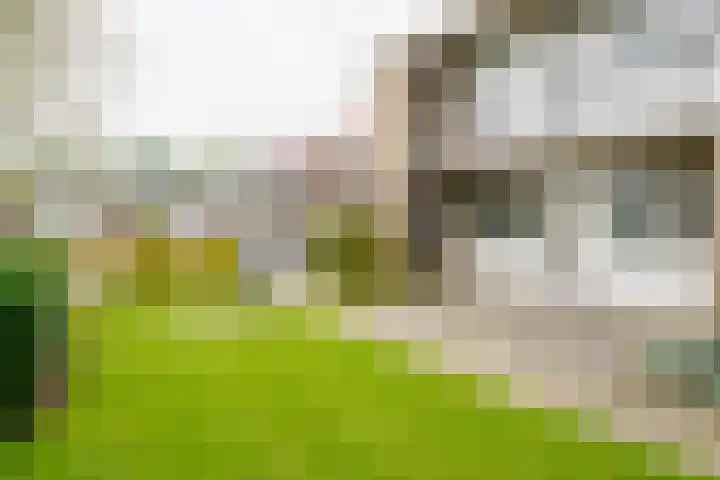Bizetstraat 34 Almelo thumbnail 26