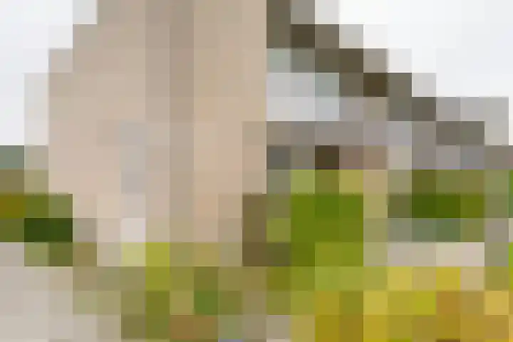 Bizetstraat 34 Almelo thumbnail 27