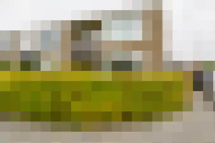 Bizetstraat 34 Almelo thumbnail 28