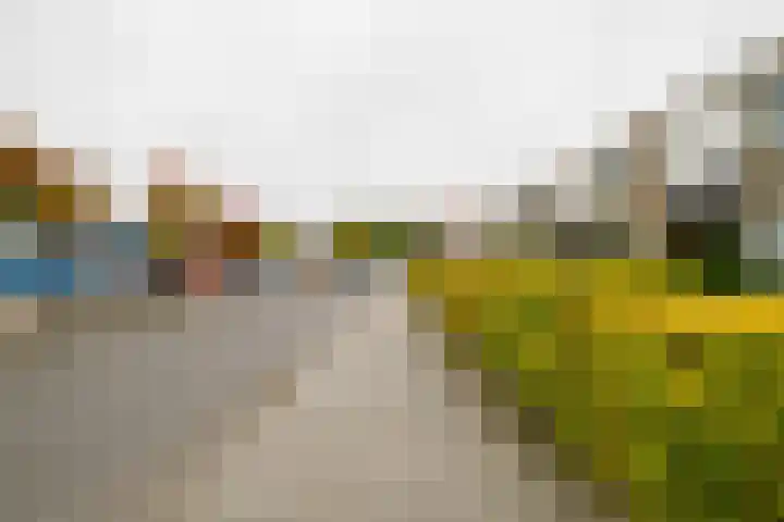 Bizetstraat 34 Almelo thumbnail 29