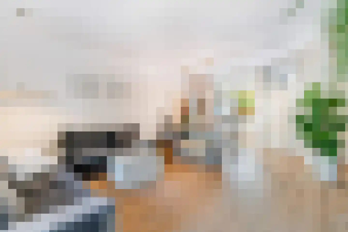 Bizetstraat 34 Delft thumbnail 12