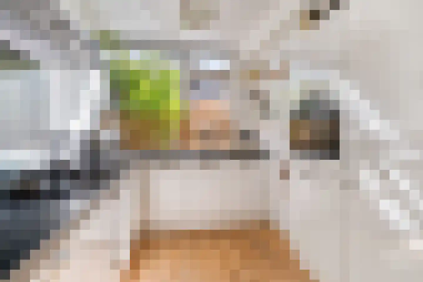 Bizetstraat 34 Delft thumbnail 15