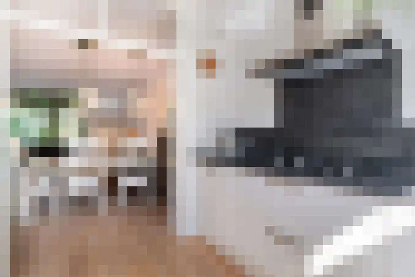 Bizetstraat 34 Delft thumbnail 16