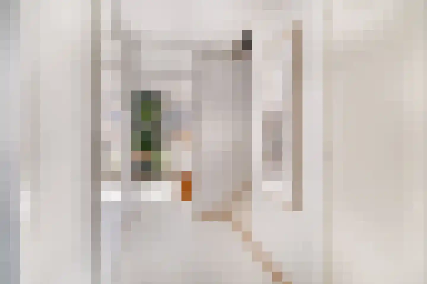 Bizetstraat 34 Delft thumbnail 17