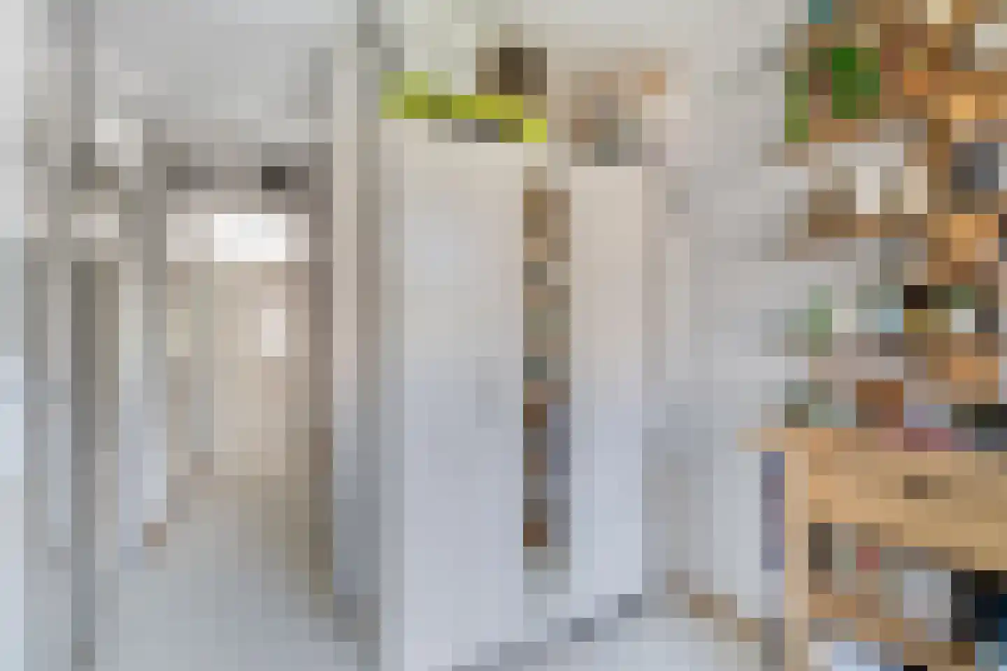 Bizetstraat 34 Delft thumbnail 26
