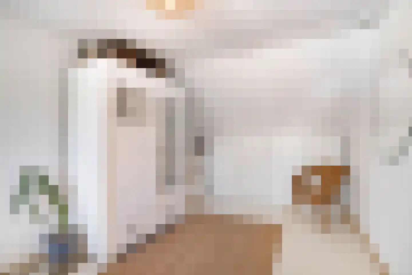 Bizetstraat 34 Delft thumbnail 30