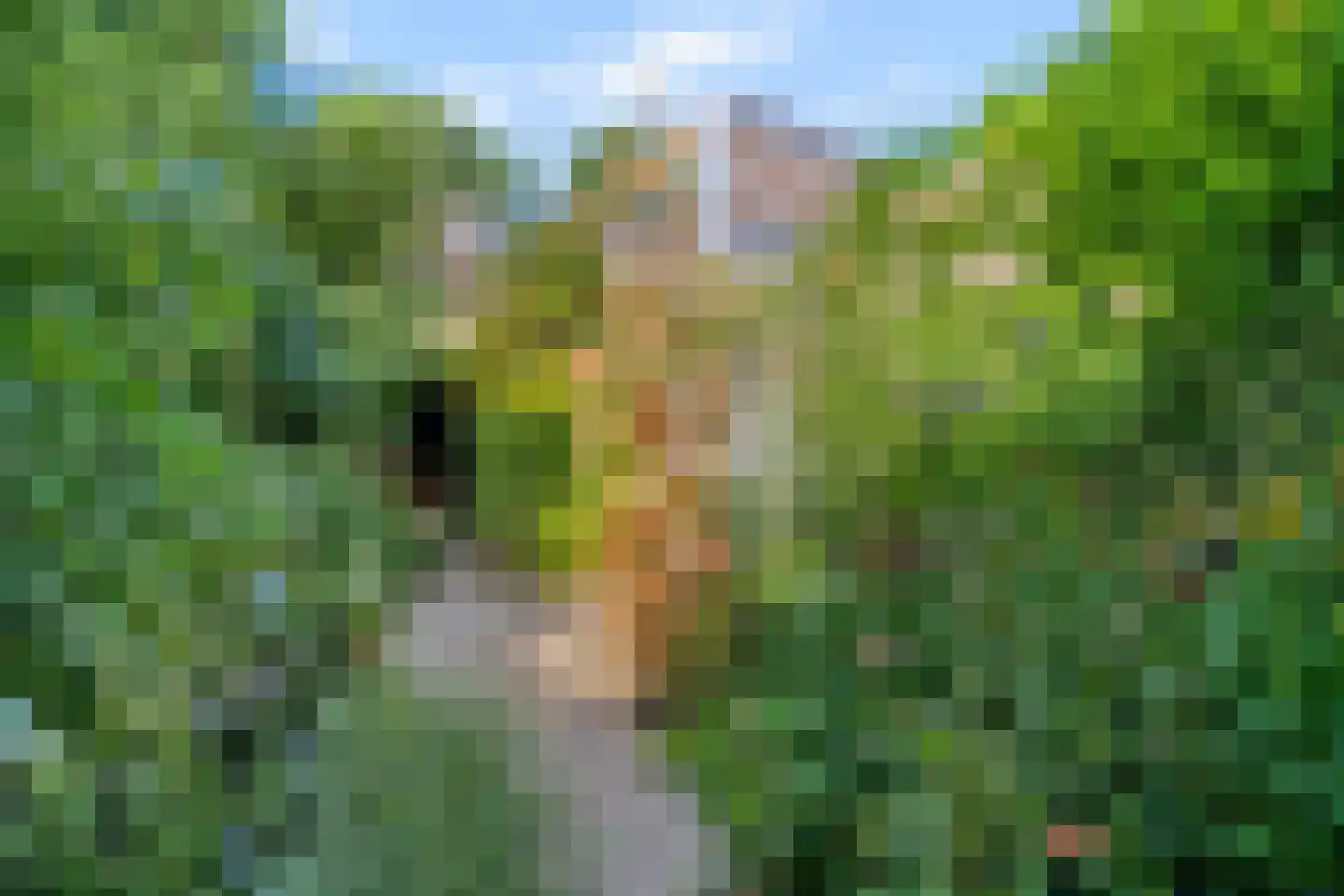 Bizetstraat 34 Delft thumbnail 34