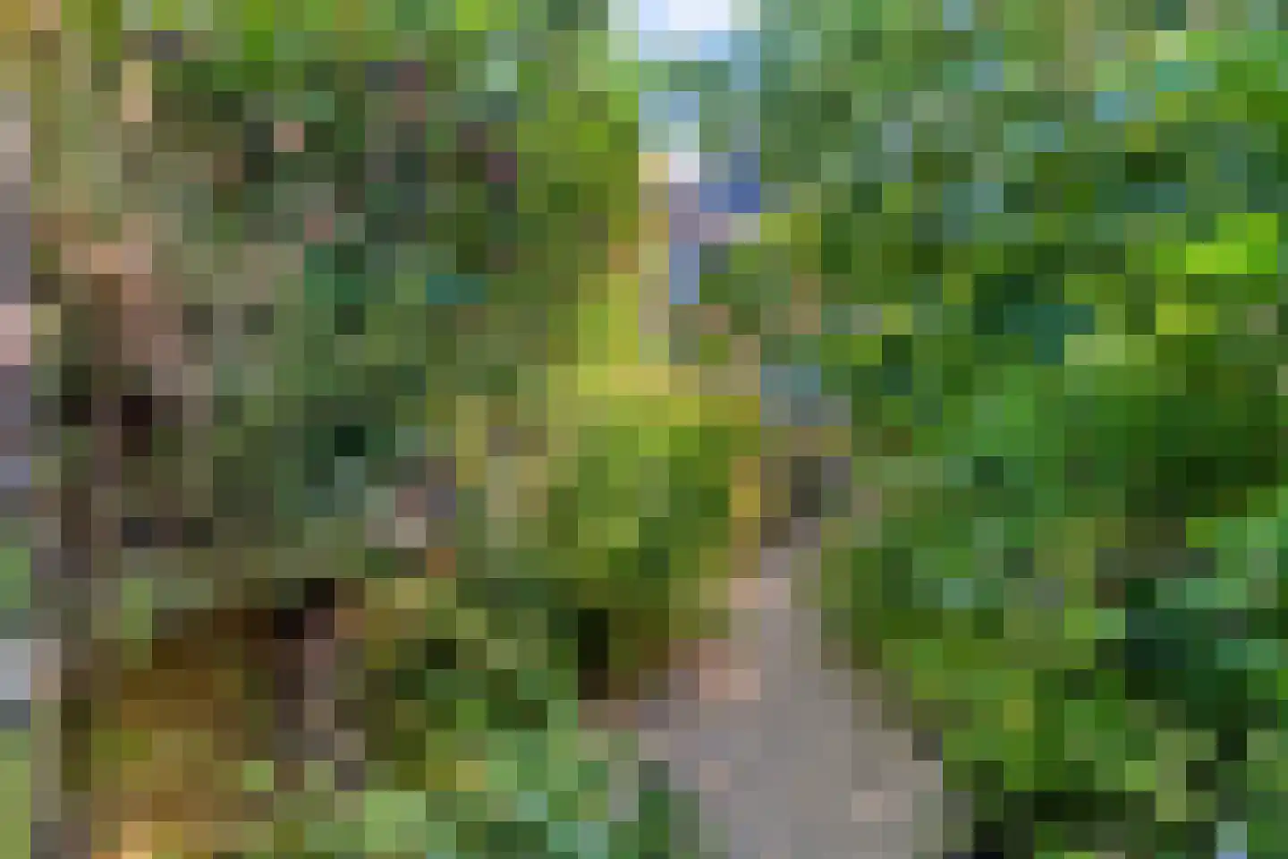 Bizetstraat 34 Delft thumbnail 37