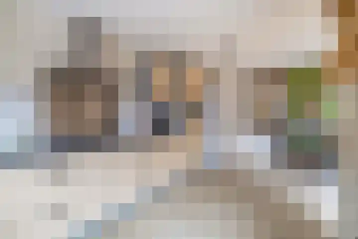 Bizetstraat 34 Heemskerk thumbnail 18