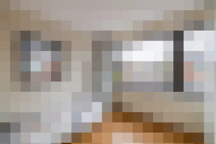 Bizetstraat 34 Heemskerk thumbnail 27