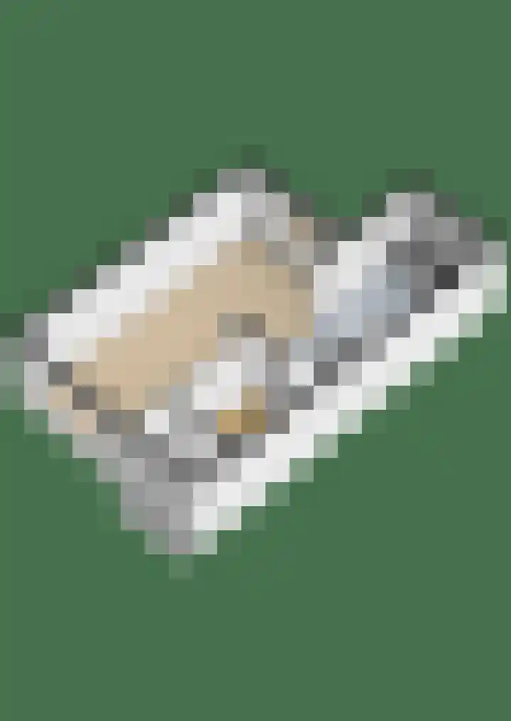 Bizetstraat 34 Heemskerk thumbnail 39