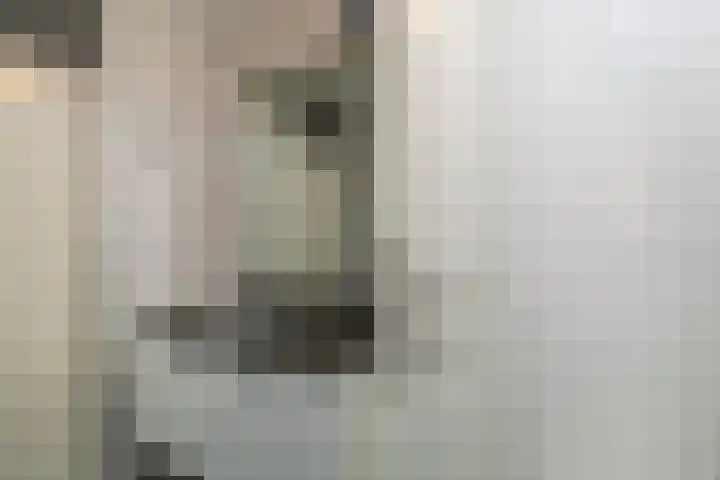 Bizetstraat 35 Delft thumbnail 31