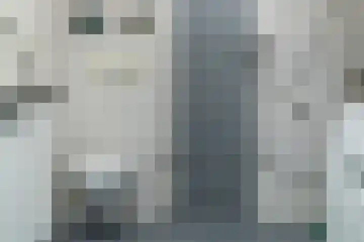 Bizetstraat 35 Delft thumbnail 34