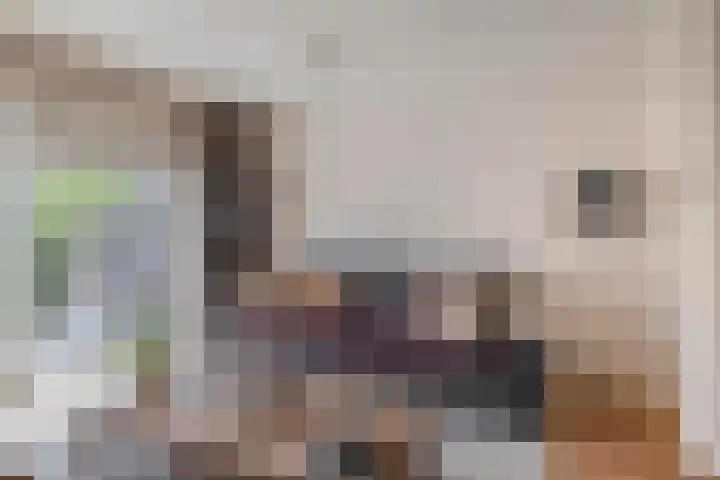 Bizetstraat 36 Capelle aan den IJssel thumbnail 12