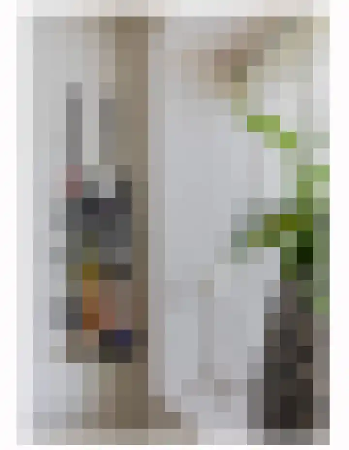 Bizetstraat 36 Capelle aan den IJssel thumbnail 13