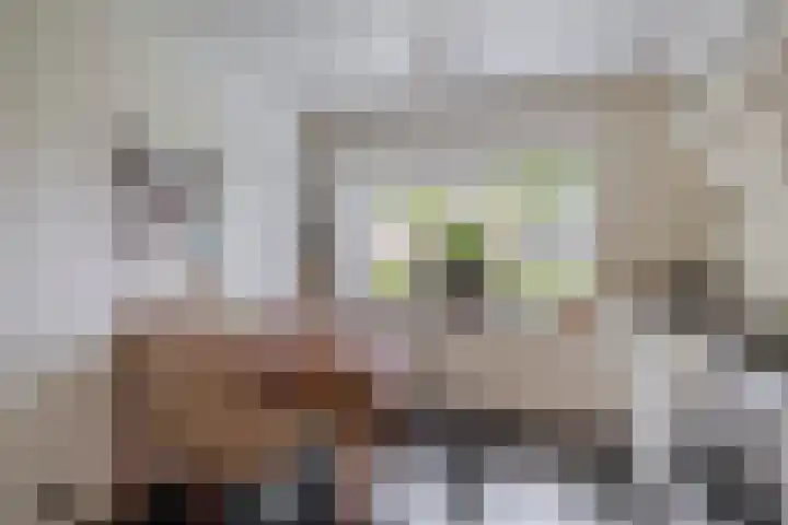 Bizetstraat 36 Capelle aan den IJssel thumbnail 14