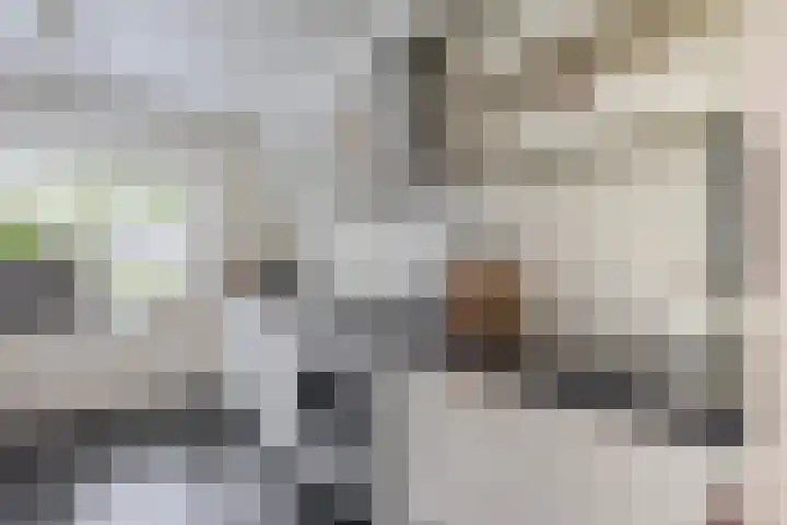 Bizetstraat 36 Capelle aan den IJssel thumbnail 17