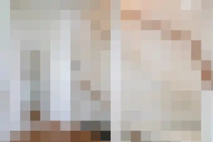 Bizetstraat 36 Capelle aan den IJssel thumbnail 19