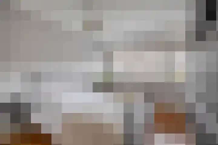 Bizetstraat 36 Capelle aan den IJssel thumbnail 20