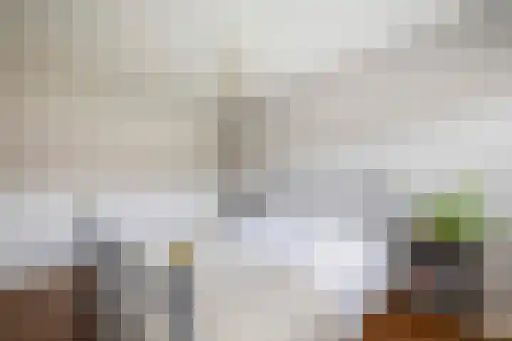 Bizetstraat 36 Capelle aan den IJssel thumbnail 21