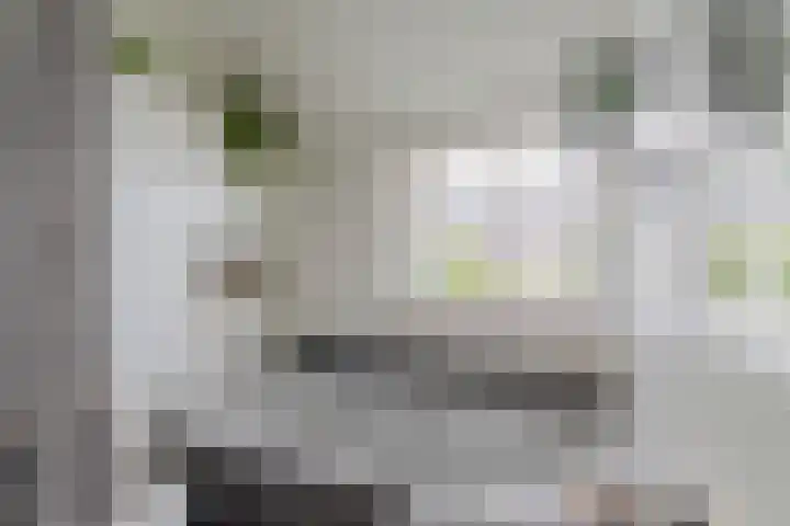 Bizetstraat 36 Capelle aan den IJssel thumbnail 23