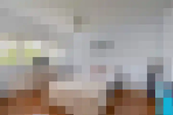 Bizetstraat 36 Capelle aan den IJssel thumbnail 26