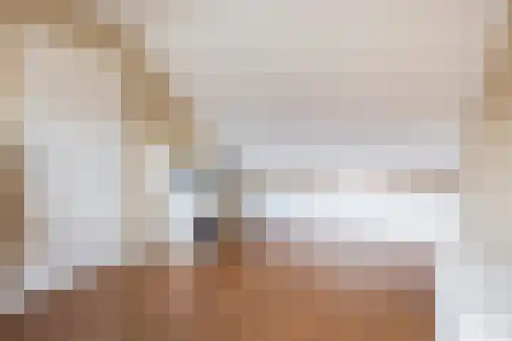 Bizetstraat 36 Capelle aan den IJssel thumbnail 32