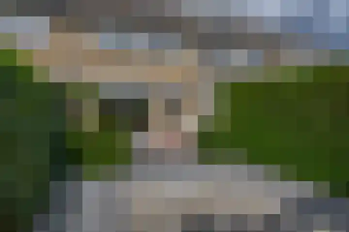 Bizetstraat 36 Capelle aan den IJssel thumbnail 38