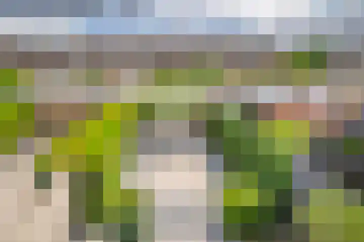 Bizetstraat 36 Capelle aan den IJssel thumbnail 39