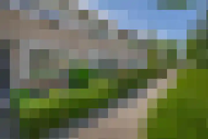Bizetstraat 36 Capelle aan den IJssel thumbnail 43