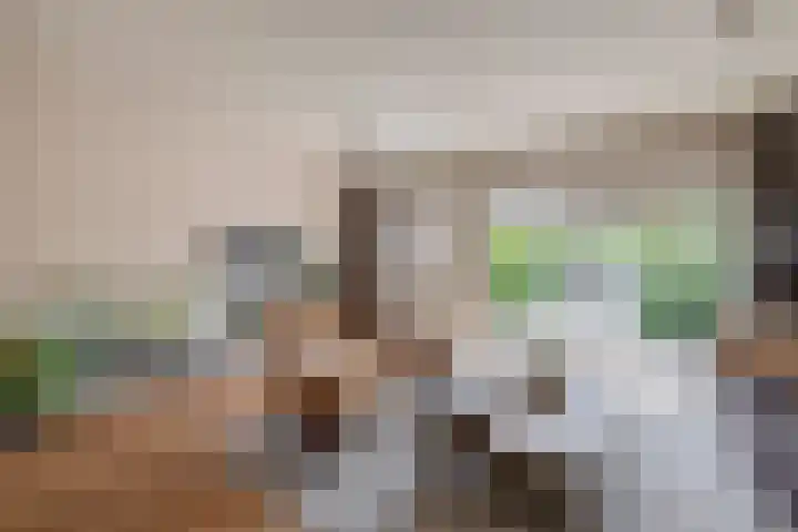 Bizetstraat 36 Capelle aan den IJssel thumbnail 9