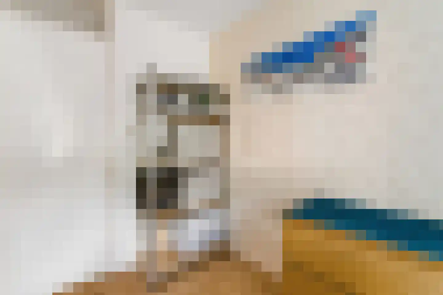Bizetstraat 38 Nijverdal thumbnail 17