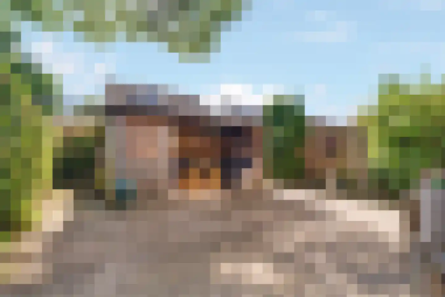 Bizetstraat 38 Nijverdal thumbnail 23