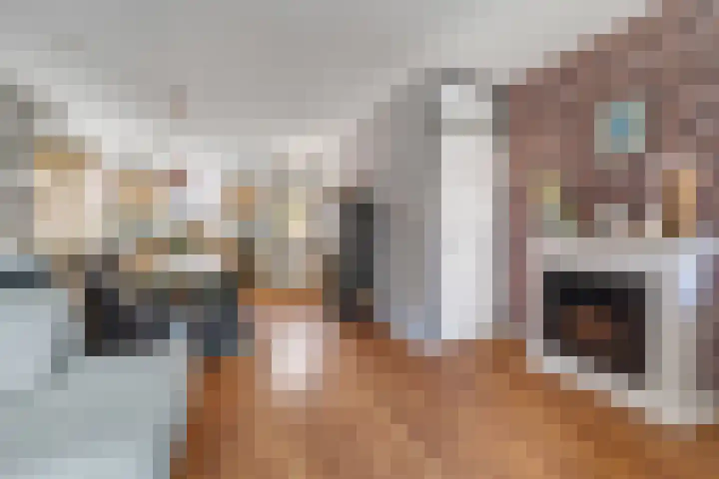 Bizetstraat 38 Nijverdal thumbnail 5