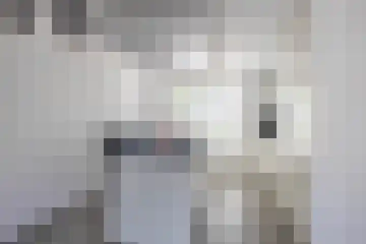Bizetstraat 4 Capelle aan den IJssel thumbnail 10