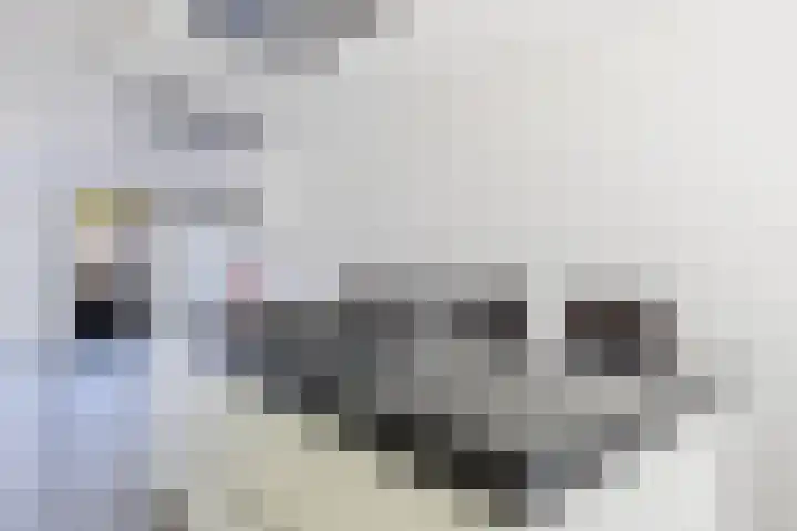 Bizetstraat 4 Capelle aan den IJssel thumbnail 12