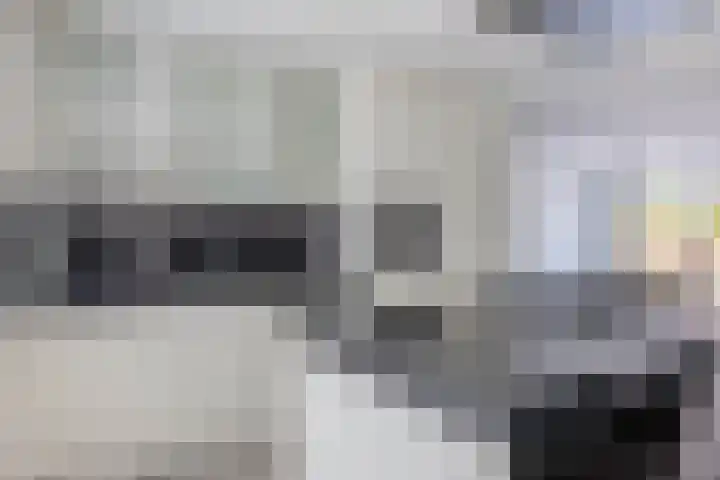 Bizetstraat 4 Capelle aan den IJssel thumbnail 13