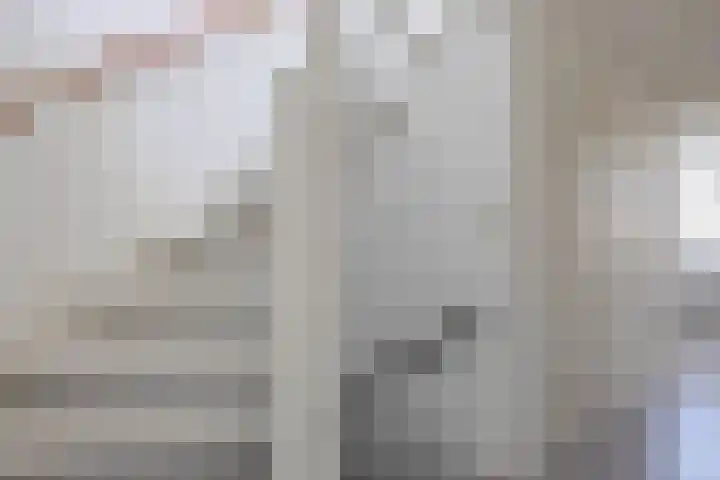 Bizetstraat 4 Capelle aan den IJssel thumbnail 15