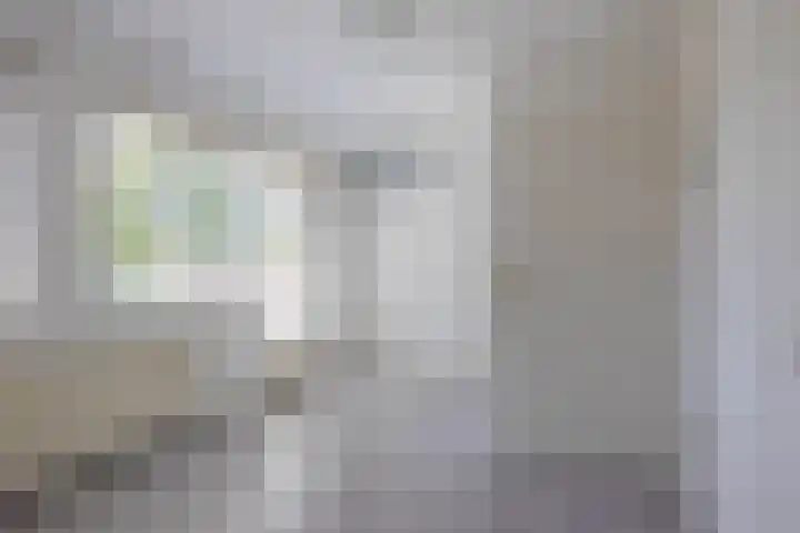 Bizetstraat 4 Capelle aan den IJssel thumbnail 18