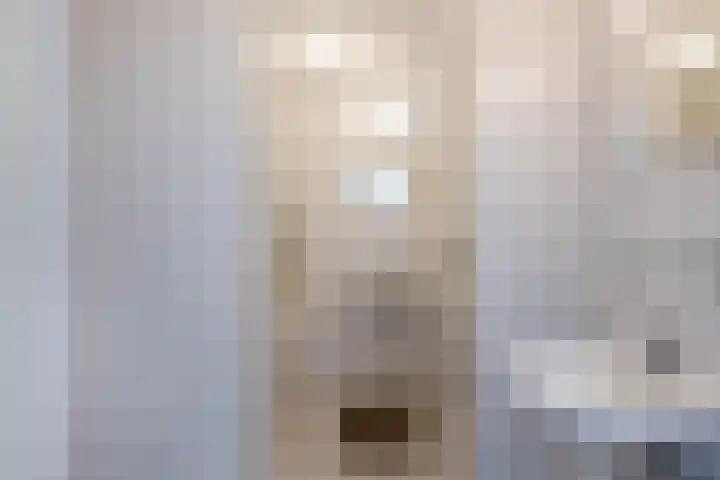 Bizetstraat 4 Capelle aan den IJssel thumbnail 24
