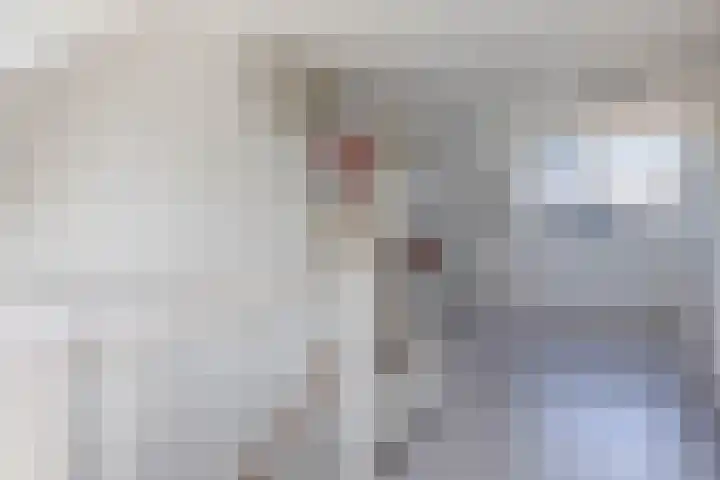 Bizetstraat 4 Capelle aan den IJssel thumbnail 28