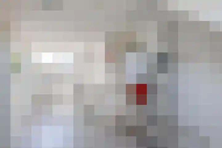 Bizetstraat 4 Capelle aan den IJssel thumbnail 29