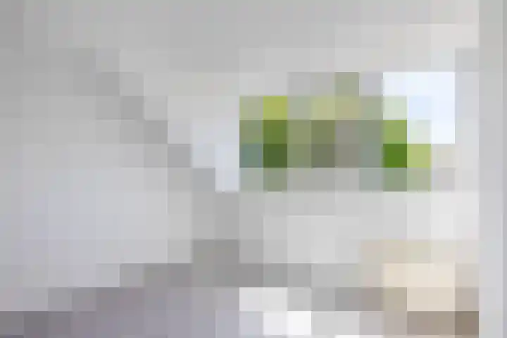 Bizetstraat 4 Capelle aan den IJssel thumbnail 30