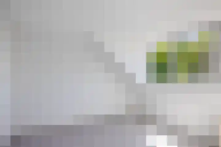 Bizetstraat 4 Capelle aan den IJssel thumbnail 31