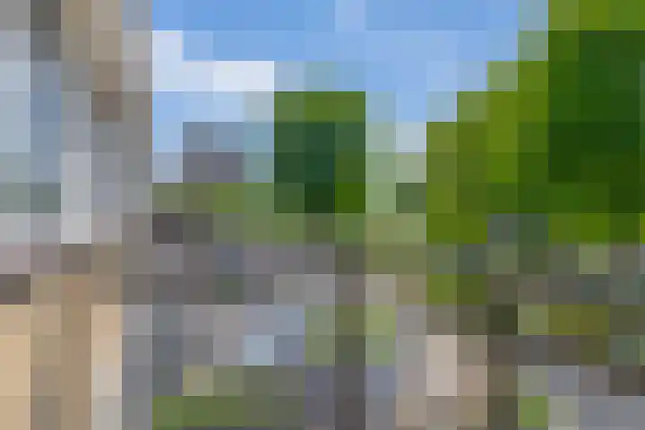 Bizetstraat 4 Capelle aan den IJssel thumbnail 34