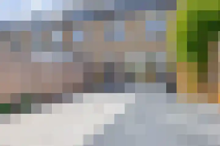Bizetstraat 4 Capelle aan den IJssel thumbnail 36