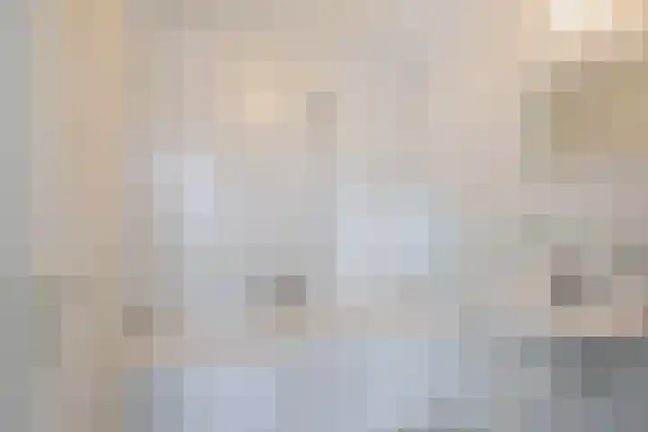 Bizetstraat 4 Capelle aan den IJssel thumbnail 4