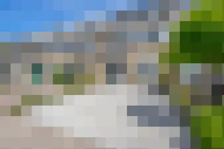 Bizetstraat 4 Capelle aan den IJssel thumbnail 41